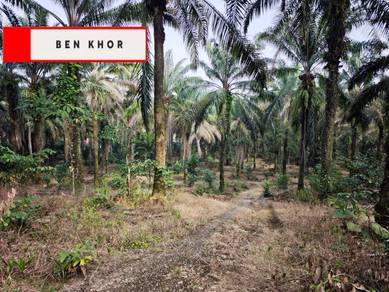 Agricultural Land in Bukit Mertajam, PNG