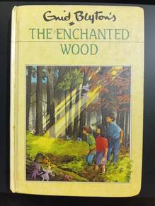 The Enchanted Woods