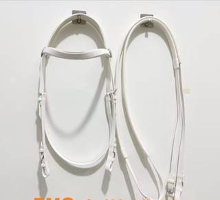 Horse Bridle with Rein