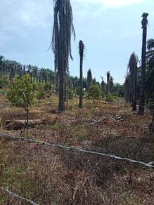 Agricultural Land in Sungai Siput, PRK