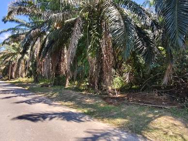 Agricultural Land in Port Dickson, NSN