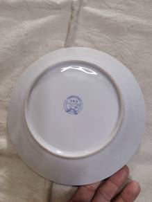 dumex plate.