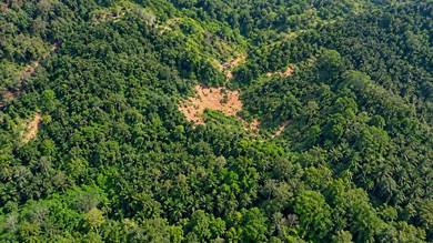 Industrial Land in Bukit Mertajam, PNG
