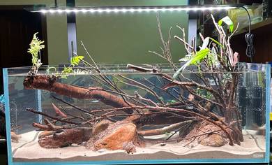 3.5ft 100cm Ultra Crystal Clear Aquarium Tank 98%