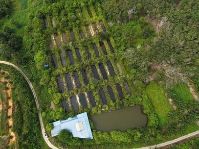 Agricultural Land in Ipoh, PRK