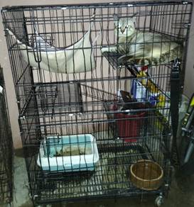 Kucing Sangkar 3 Tingkat