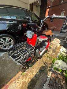 Ebike LEM T with battery
