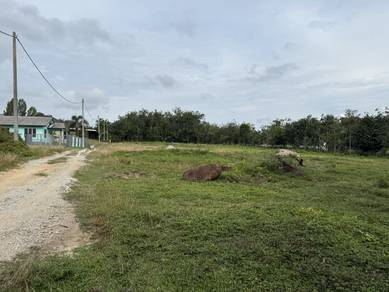 Others Land in Kok Lanas, KTN