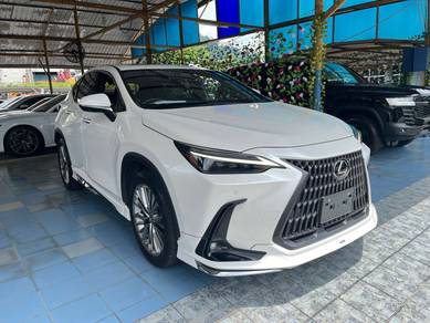 Lexus NX 250 LUXURY in Setapak, KUL