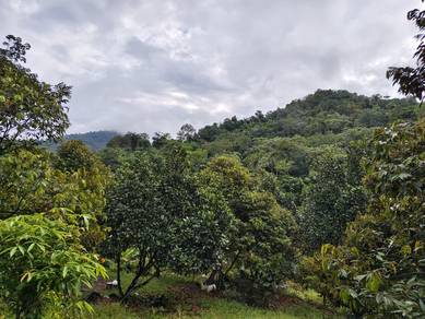 Agricultural Land in Seremban, NSN