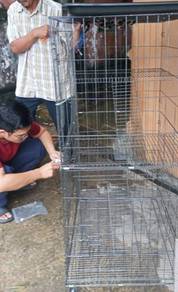 Sangkar Kucing 3 Lantai