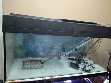 acuarium