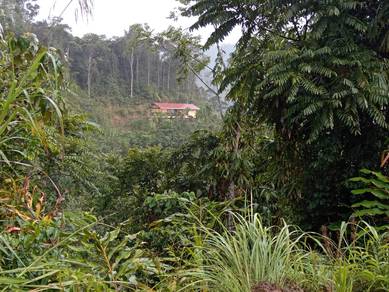 Agricultural Land in Ranau, SBH