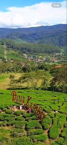 4D 3N Padang Bt Tinggi/Alahan Panjang