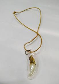 TIGER Carved Tooth Necklace Thai Amulet Magic Powe