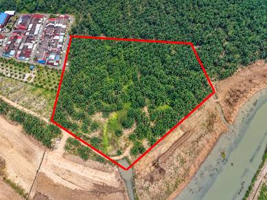 Agricultural Land in Batu Pahat, JHR