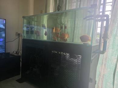 Custom Aquarium 4ft 12mm
