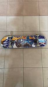 skateboard mohle