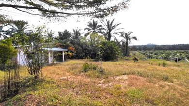 Agricultural Land in Kluang, JHR