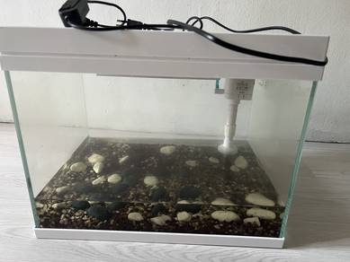 Aquarium full set
