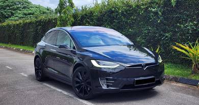 2018 Tesla Model X P100D P100D