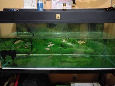 Aquarium