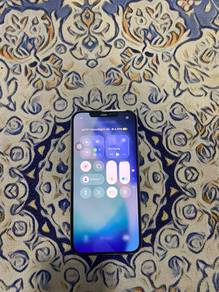 12promax 256gb