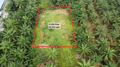 Agricultural Land in Kuala Selangor, SGR