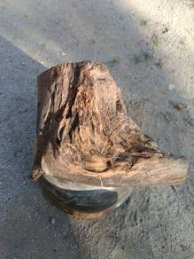 Barang Antik Akar Kayu Cengal Emas (GRED A+) 3kg+