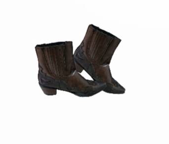 Western Classic Boots
