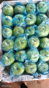 Guava Lohan Royal