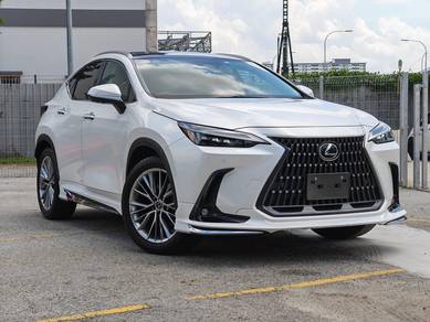 Lexus NX 250 LUXURY in Johor Bahru, JHR