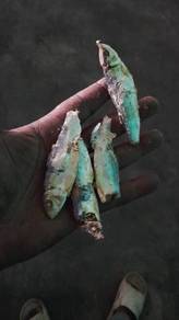 ikan bilis