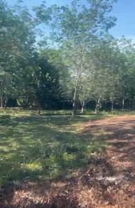 Agricultural Land in Alor Gajah, MLK