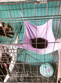Sangkar Folding 3 Tingkat