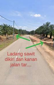 Agricultural Land in Tawar, KDH