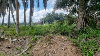 Agricultural Land in Ijok, SGR