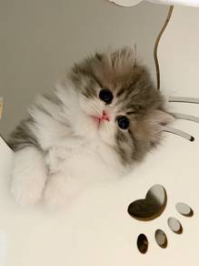 Persian