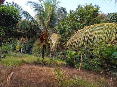 Agricultural Land in Labis, JHR