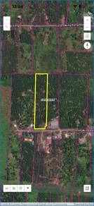 Agricultural Land in Sandakan, SBH