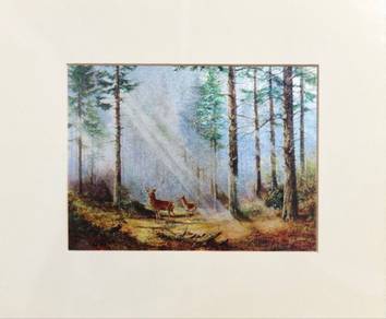 Collection Animal & Nature Art Prints 2