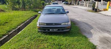 Toyota Corolla in Kampar, PRK