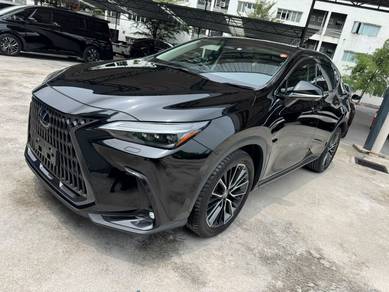 Lexus NX 250 LUXURY in Cheras, KUL