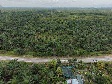 Agricultural Land in Gelang Patah, JHR