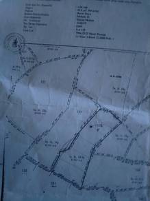 Others Land in Teluk Kumbar, PNG