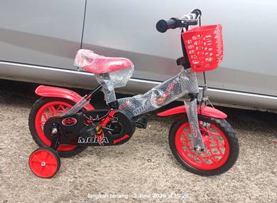 12" Kids Basikal