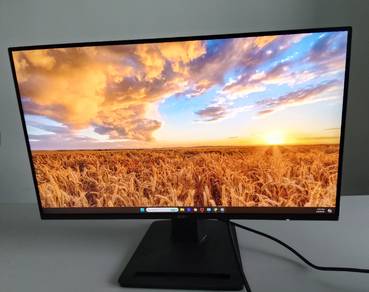 MSI Monitor 25 inch