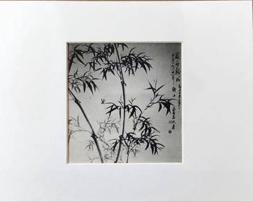 Chinese Ink Painting Bamboo with Calligraphy