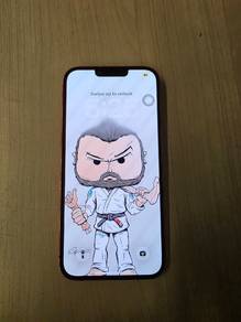 ip14 plus