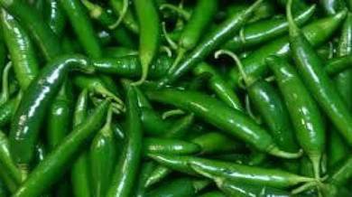 Fresh Imported Green Chili from Bangladesh